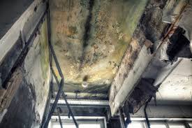 Best Mold Removal for HVAC Installations in West Long Branch, NJ